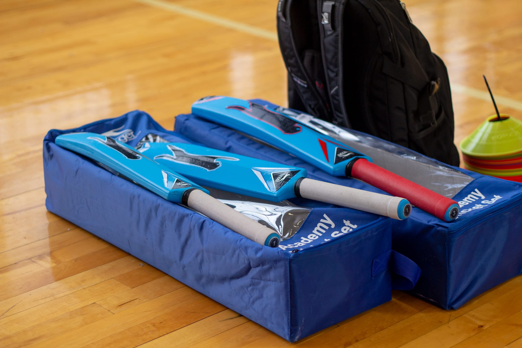 blue cricket bats on bags