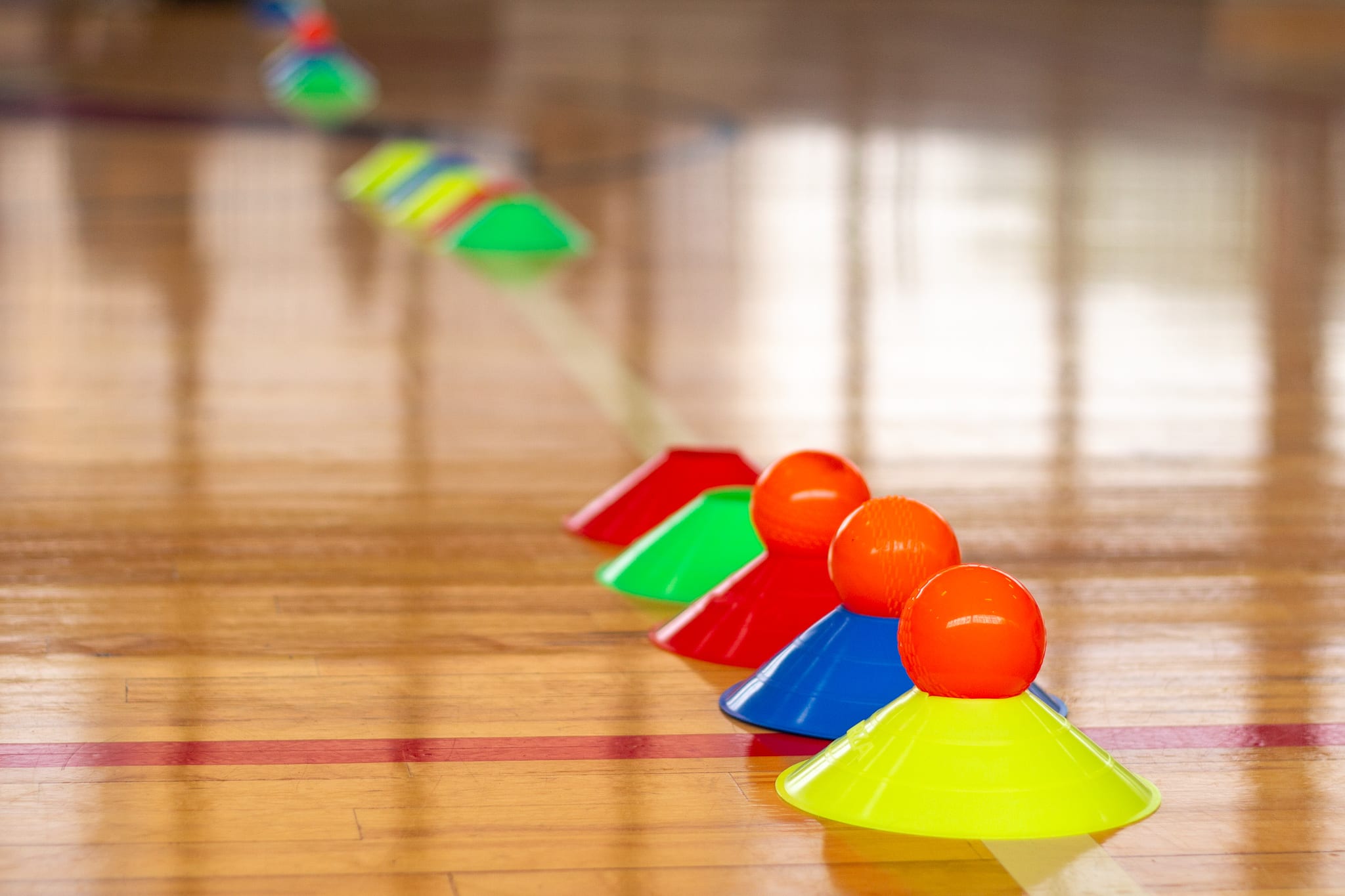 cricket balls on cones for cricket practice